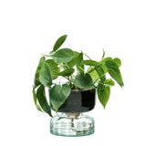 LSA International Canopy Self Watering Planter