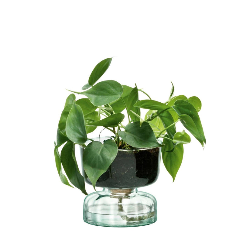 LSA International Canopy Self Watering Planter