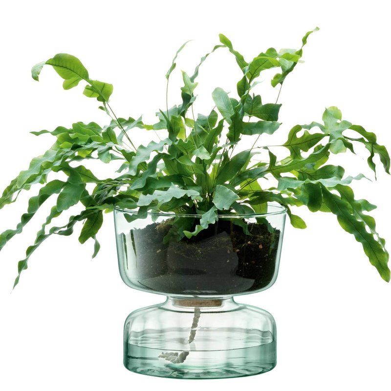 LSA International Canopy Self Watering Planter