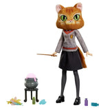 Harry Potter Pollyjuice Potions Hermione Granger