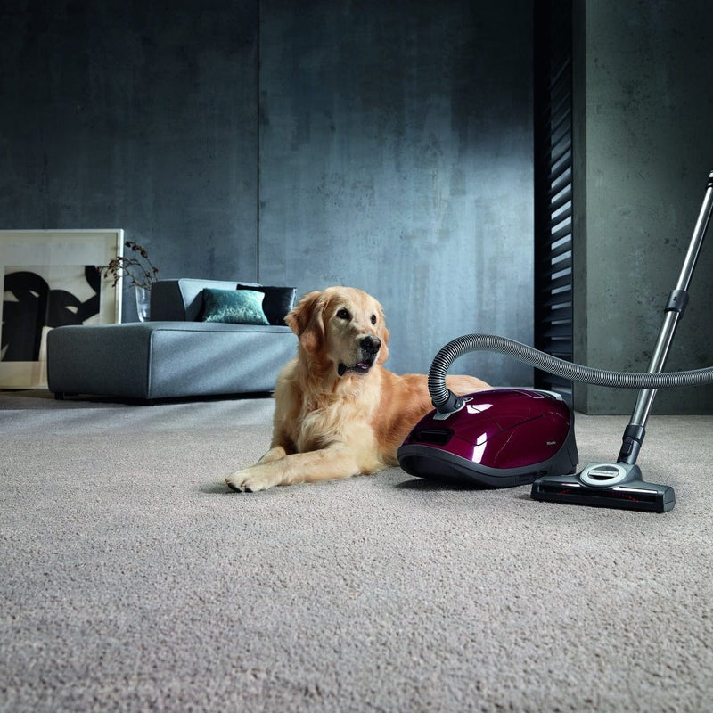 Miele Complete C3 Cat & Dog Pro in Tayberry Red
