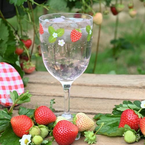 Navigate Summerhouse Strawberries & Cream Decorated Wine Glass
