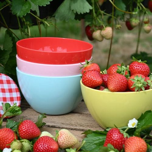 Navigate Summerhouse Strawberries & Cream Set of 4 Bowls