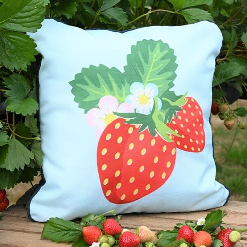 Summerhouse by Navigate Strawberries & Cream 45 x 45cm Cushion Strawberry