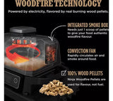 Ninja OG701UK Woodfire Electric BBQ Grill & Smoker