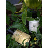 Noble Isle Noble Isle The Greenhouse Luxury Hand Wash 250ml