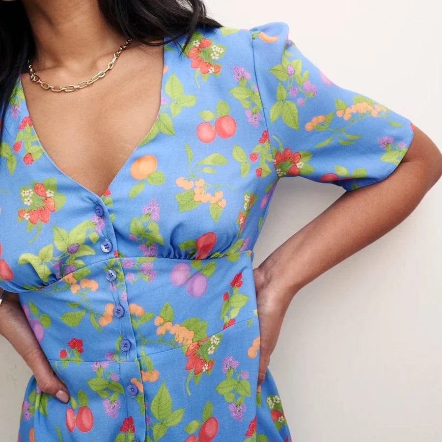 Nobody's Child Blue Fruit Print Alexa Mini with Shirring Dress