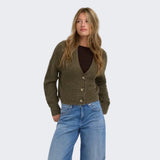 ONLY ONLCAROL Cardigan In Beech