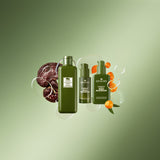 Origins Dr. Andrew Weil for Origins™ Mega-Mushroom Relief & Resilience Fortifying Emulsion 100ML