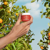 Origins Meet Ginzing™ Vitamin C-Powered Radiance-Boosting Duo