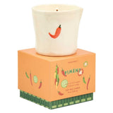 Paddywax Bistro Chilli & Mango Piment Ceramic Candle