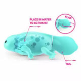Pets Alive Swimming Axolotls Assortment
