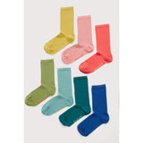 Seasalt Gift Box of 7 Women's Arty Socks Plain In Palette Mix