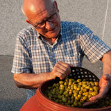 SEGGIANO Organic Rosate di Bitetto Olives 190g