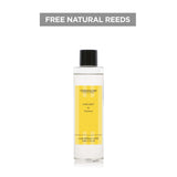 Modern Classics Lime Zest & Tonka Scented Reed Diffuser Refill 210ml