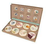 Stoneglow Elements Botanical Scented Soy Wax Melts Gift Set of 8