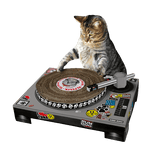 Suck UK DJ Scratching Deck Cat Toy