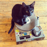 Suck UK DJ Scratching Deck Cat Toy