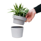 Suck UK Plant Pot Hideaway