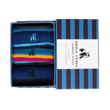 Swole Panda Blue Stripe Sock Box - 3 Pairs of Bamboo Socks (His)