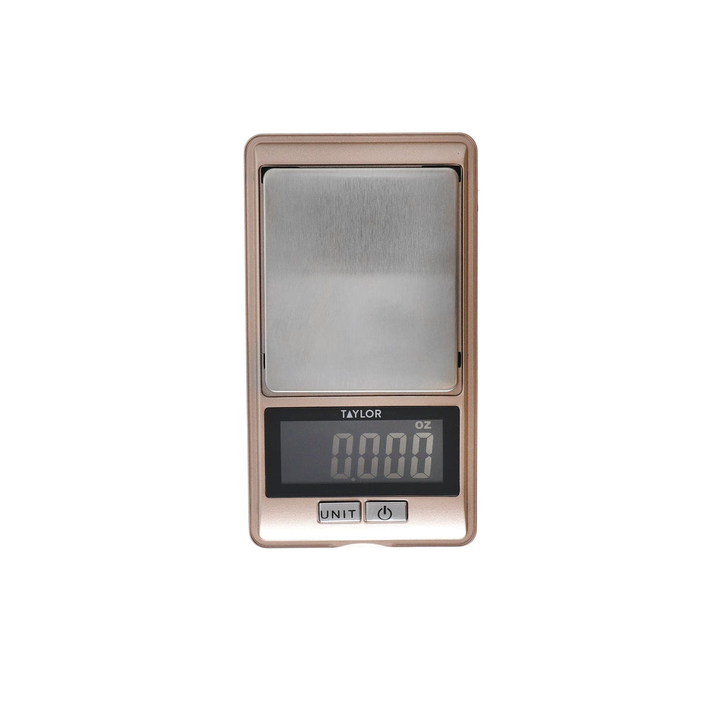 Taylor Scale Master Taylor Ultra Precision Scale