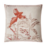 Ted Baker Rhapsody Cushion Cream