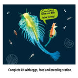 Thames & Kosmos - Sea Dogs