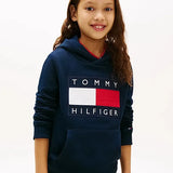 Tommy Hilfiger Heritage Flag Badge Terry Hoody In Dark Blue
