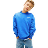 Tommy Hilfiger Logo Embroidery Terry Crew Neck Sweatshirt In Empire Blue