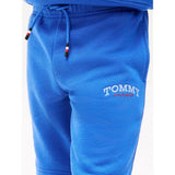 Tommy Hilfiger Logo Embroidery Terry Sweat Shorts Empire Blue
