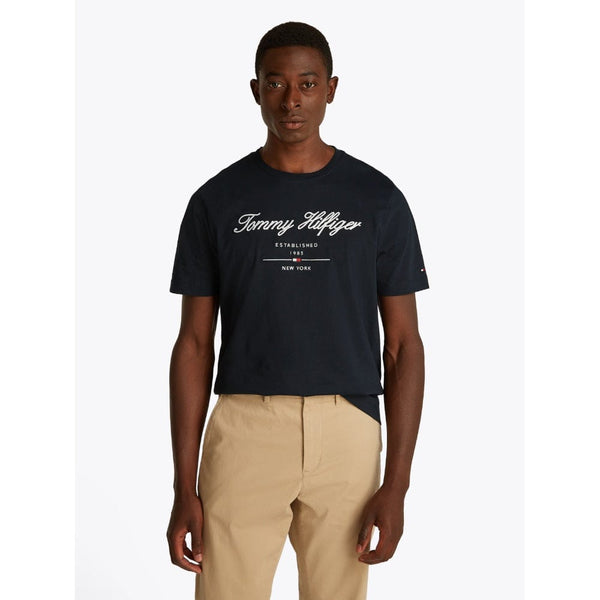 Tommy Hilfiger Script Logo Tee In Desert Sky