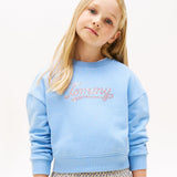 Tommy Hilfiger Script Sequin Sweatshirt In Cloudy Blue