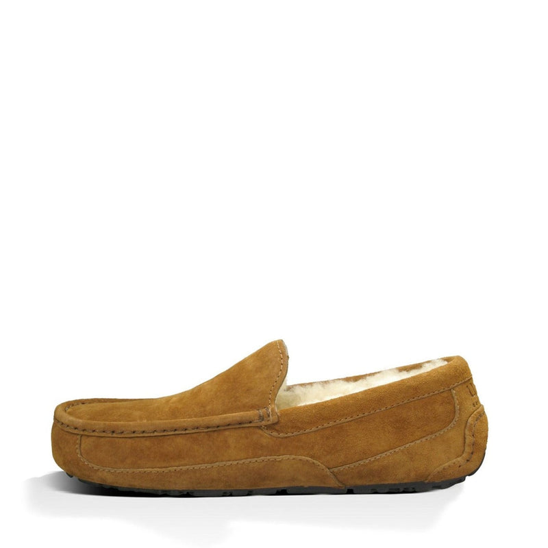 UGG Ascot Slippers in Chestnut