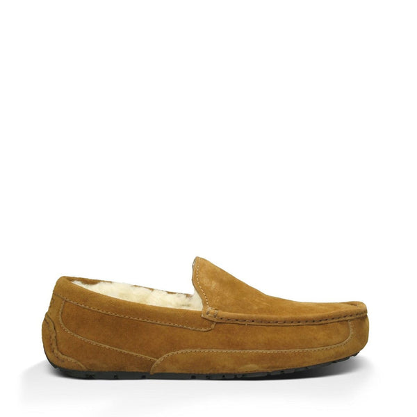 UGG Ascot Slippers in Chestnut