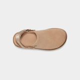 Ugg Goldenstar Clog in Driftwood