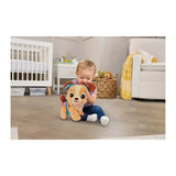 Vtech Walk and Wag Puppy