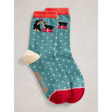 White Stuff Xmas Dog Sock In A Cracker