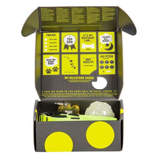Wild & Woofy Spot Your Dog Kit