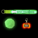 Wild & Woofy Spot Your Dog Kit