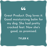 WildWash Magic Paw Balm For Dogs 50ML