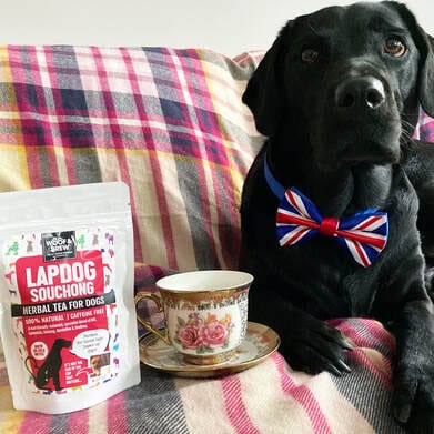 WOOF & BREW Lapdog Souchong Tea for Dogs Daily Pet Treat - 7 Bag Tin