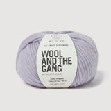 Wool And The Gang Lil Crazy Sexy Wool In Lilac Powder 100g