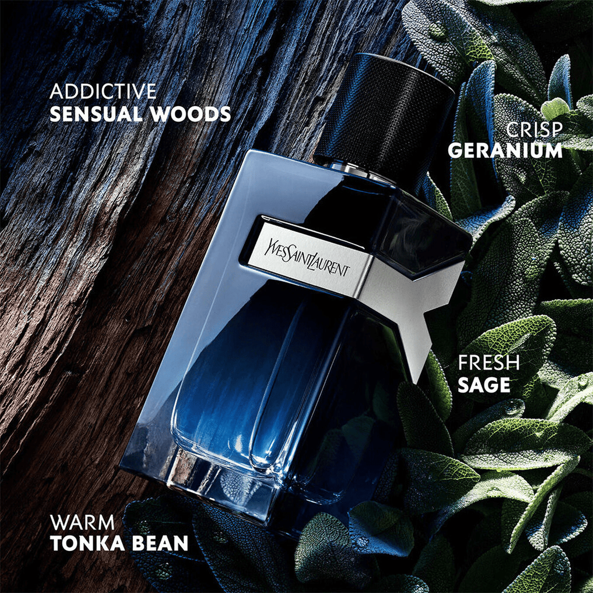Yves Saint Laurent Y Eau de Parfum For Men 60ml